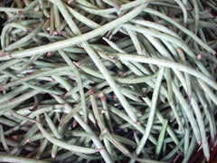 Fresh Southern Pea (Cowpea) grown in Alabama by Wade Greens