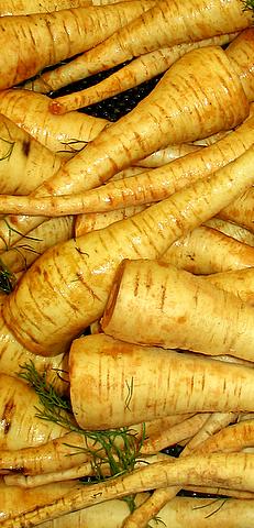Fresh Parsnip grown in Alabama by Wade Greens
