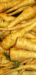 Fresh Parsnip grown in Alabama by Wade Greens