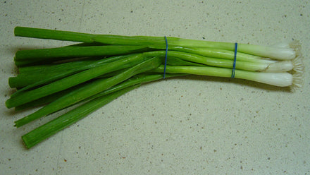 Green Onion / Scallion