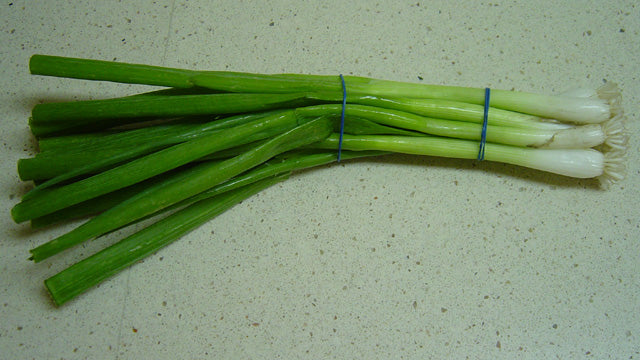 Fresh Green Onion / Scallion grown in Alabama by Wade Greens