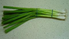 Fresh Green Onion / Scallion grown in Alabama by Wade Greens