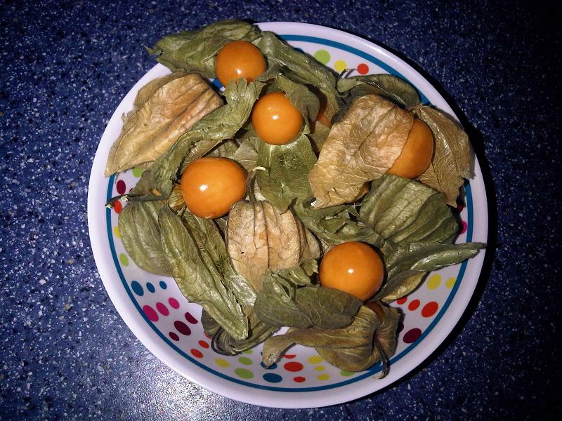 Fresh Ground Cherry grown in Alabama by Wade Greens