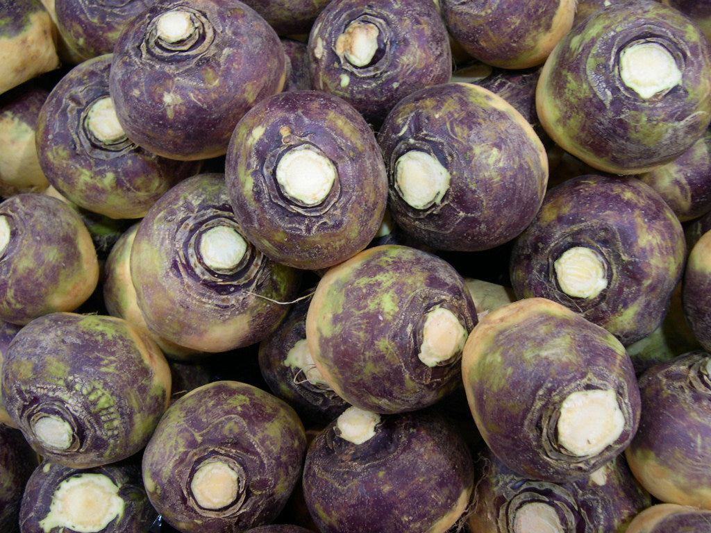 Fresh Rutabaga grown in Alabama by Wade Greens